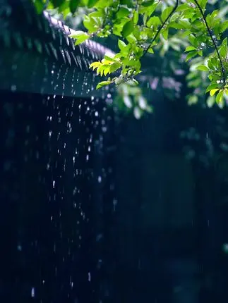 Skyreels V4 T2V-A review clip: rain visual density paired with synchronized roof audio — WebP fallback when video is unavailable